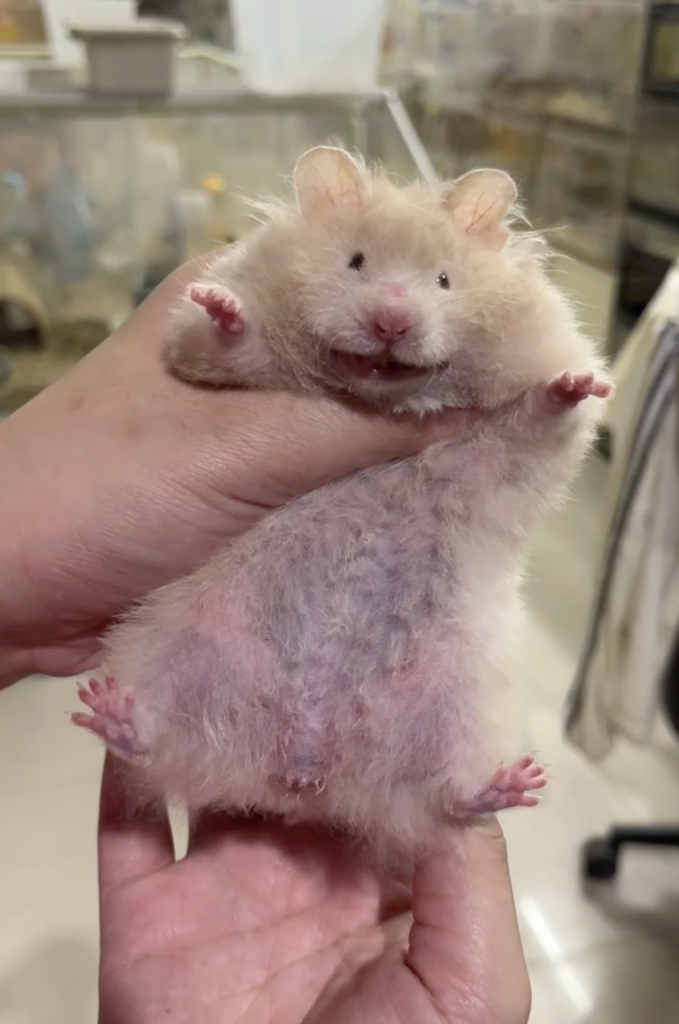 奴才：當然知道啦