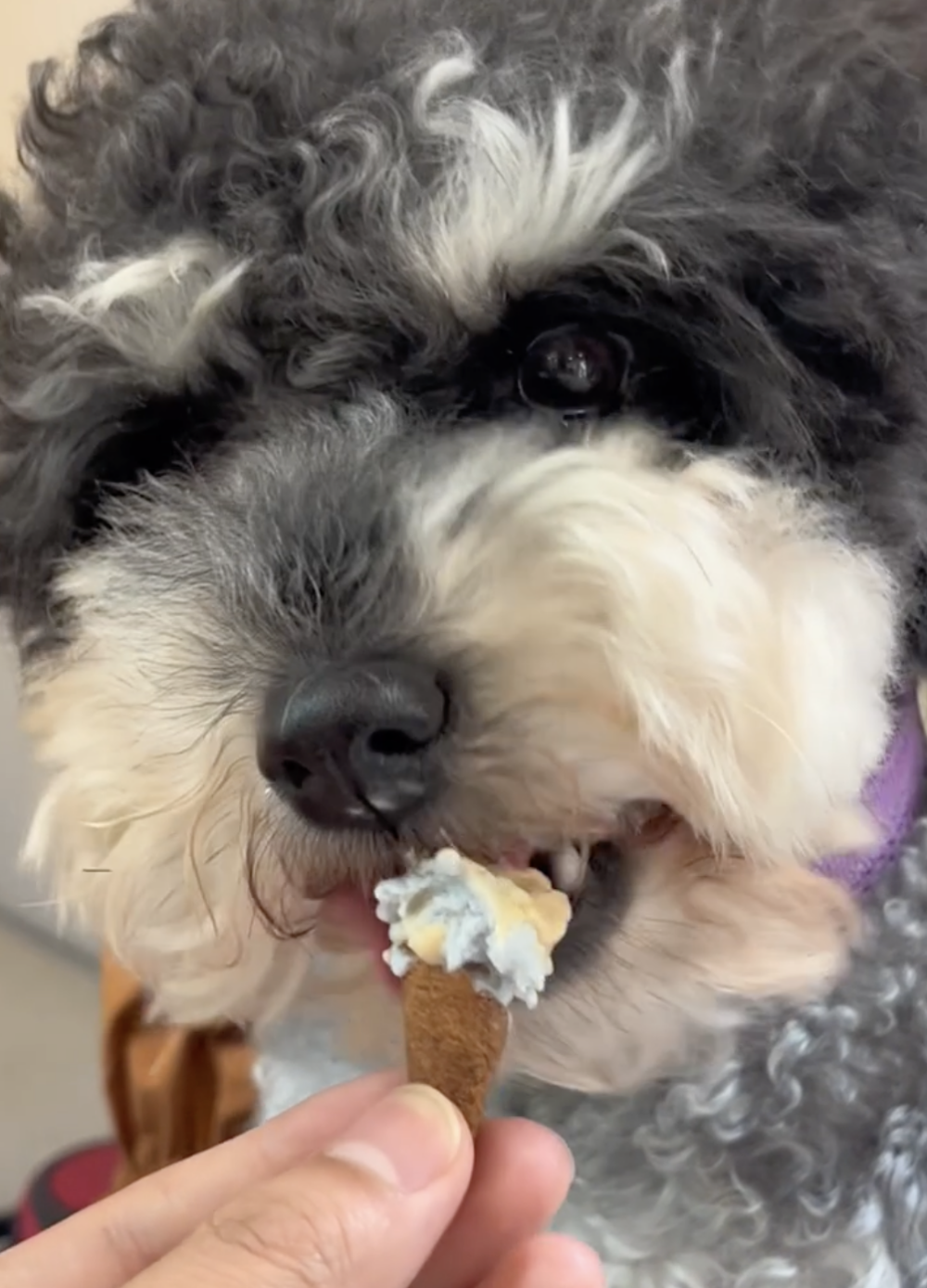 奴才：有得吃就不錯了