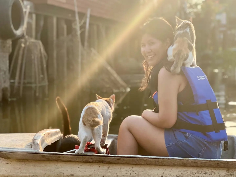 「貓貓船」有貓咪陪你搭船。