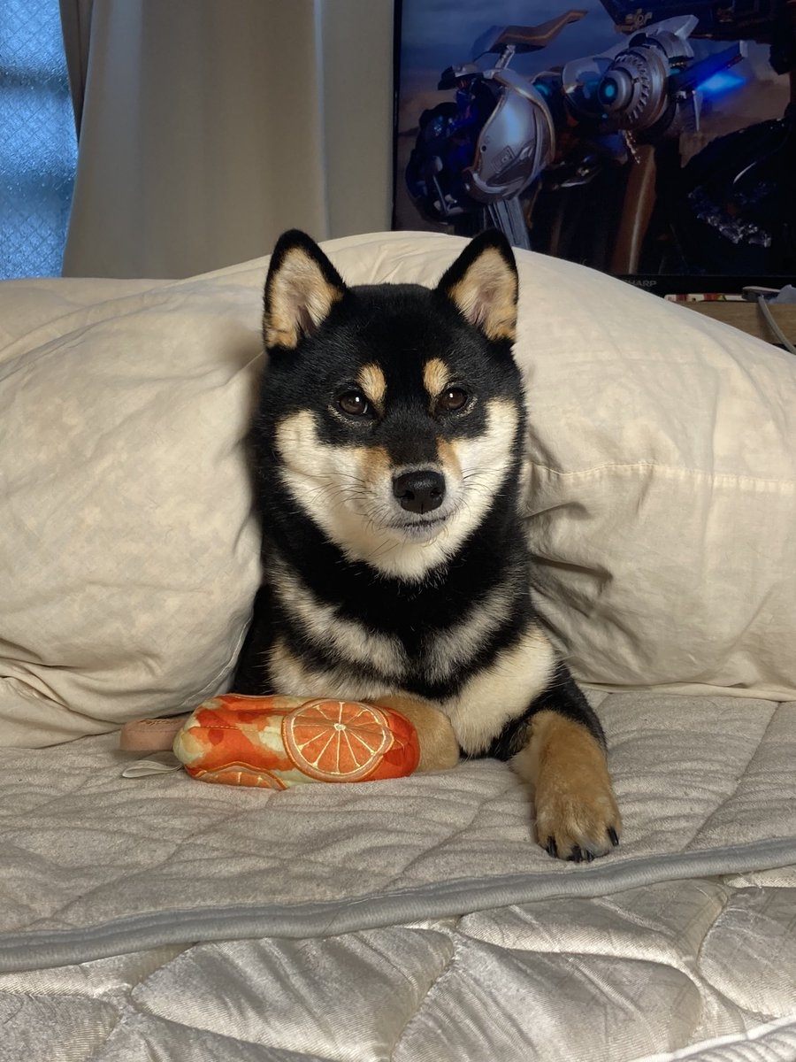 奴才：就屬你最會享受啦