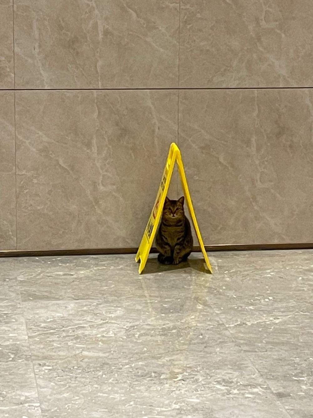 路人：你好勇敢喔