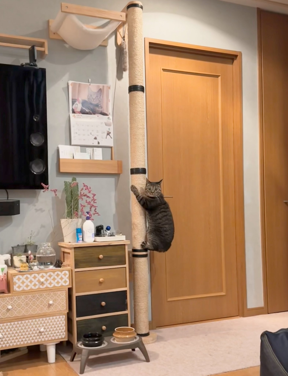 奴才：你不認識嗎？