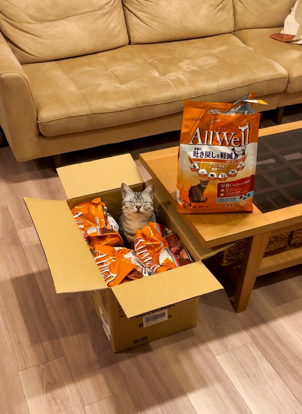 奴才：還真沒說錯