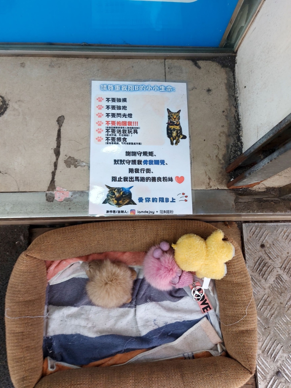 由於「阻生」愈來愈紅，藥房老闆張貼出6大規矩，以呼籲市民遊客尊重「阻生」並共同守護牠。