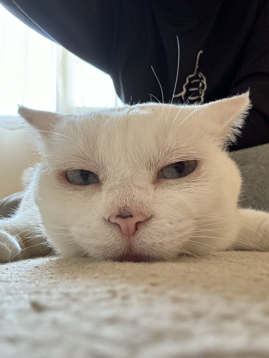 奴才：那我怎麼看不見你