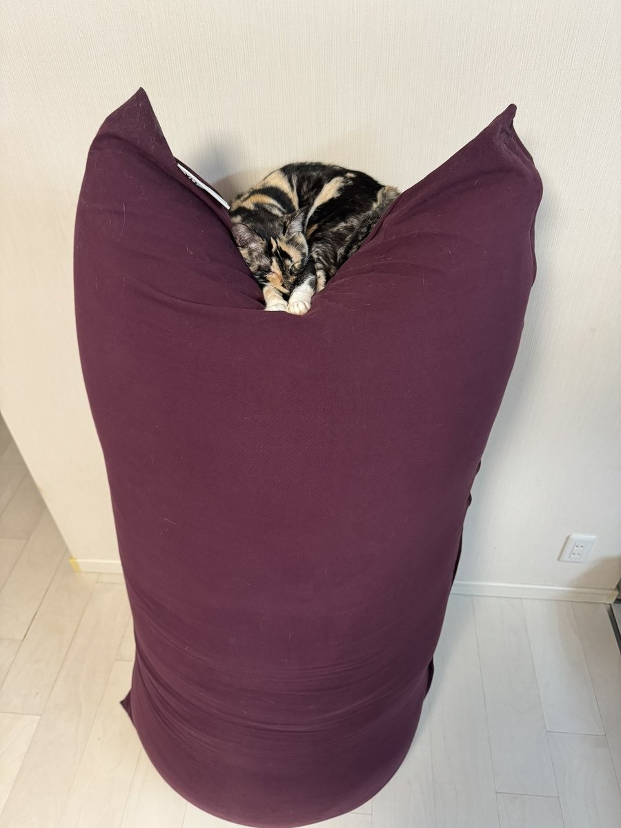 奴才:你別多想,我錯了