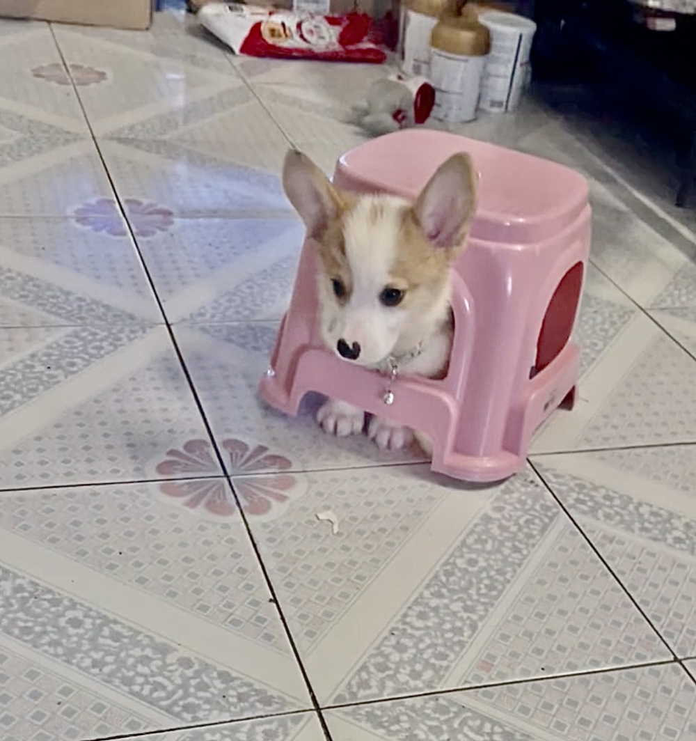 奴才：你真大度喔