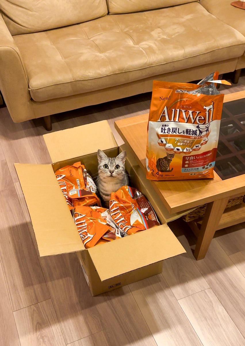 奴才：也不是不行啦