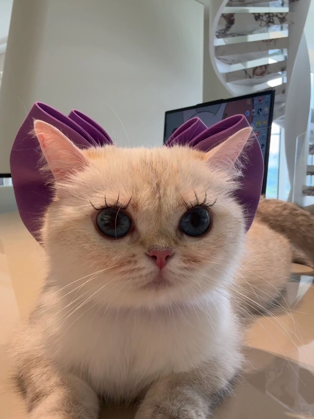 奴才：你就原諒我嘛