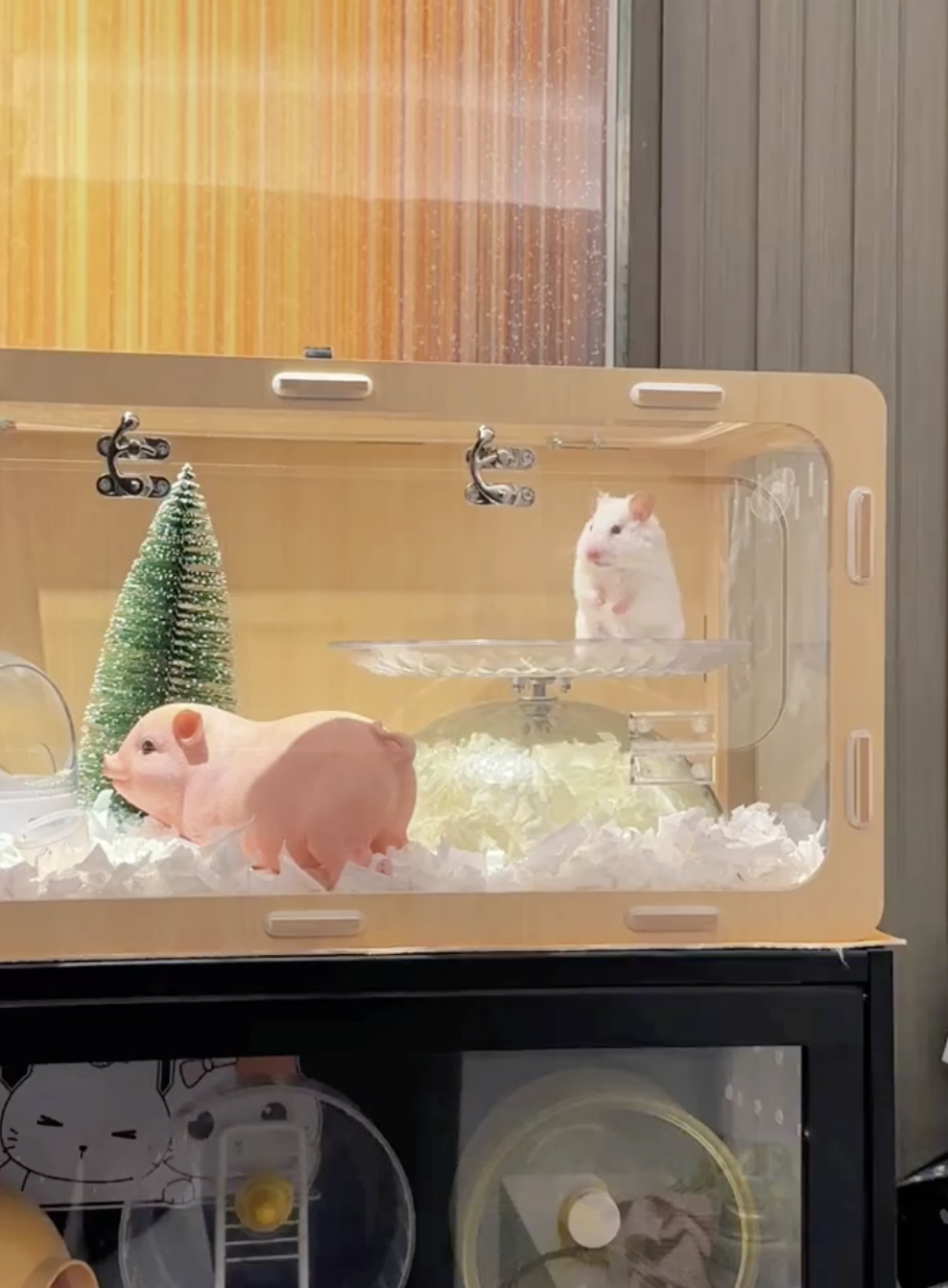 鼠鼠:欸?怎麼有點暈?