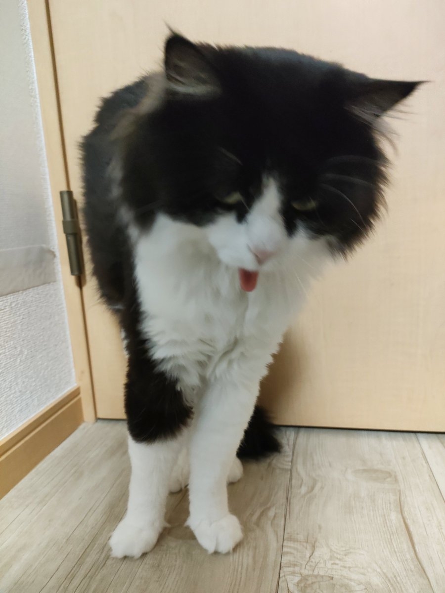 奴才：我幹嘛騙你喔