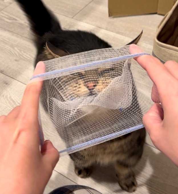 奴才：總之就不是玩具啦