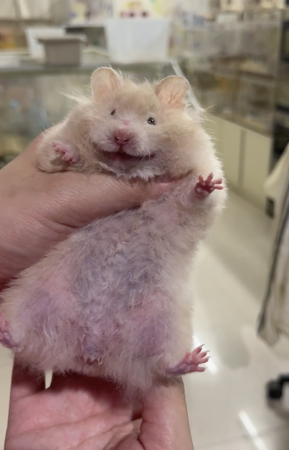 奴才：好啦！放你一馬