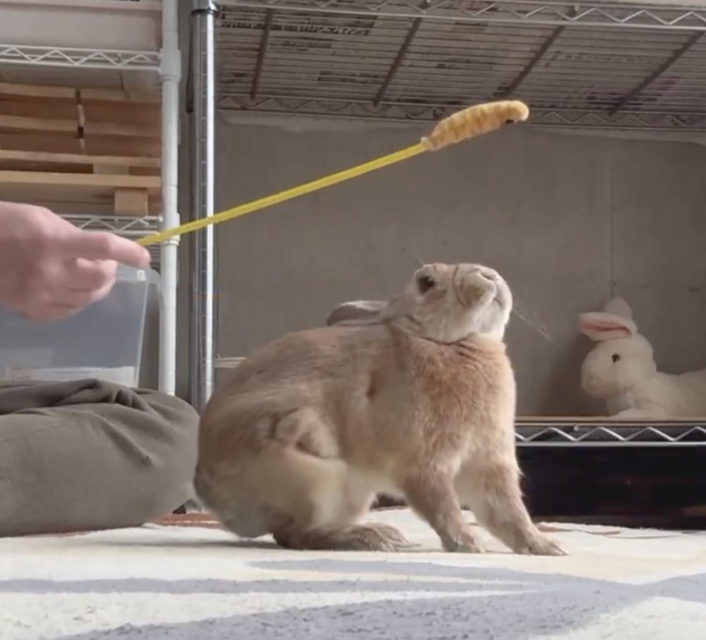 奴才：真的相信了