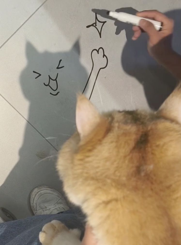 奴才：沒問題！