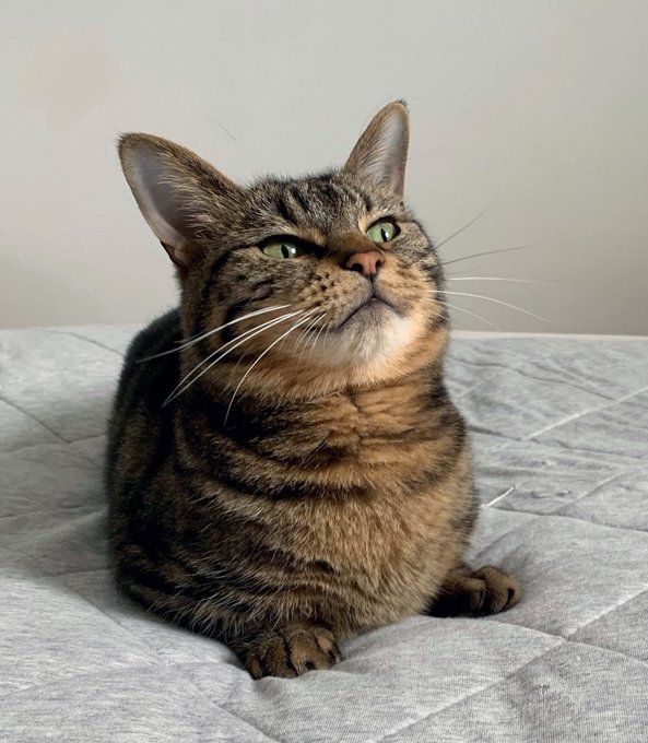 奴才：小心我套在你頭上啊