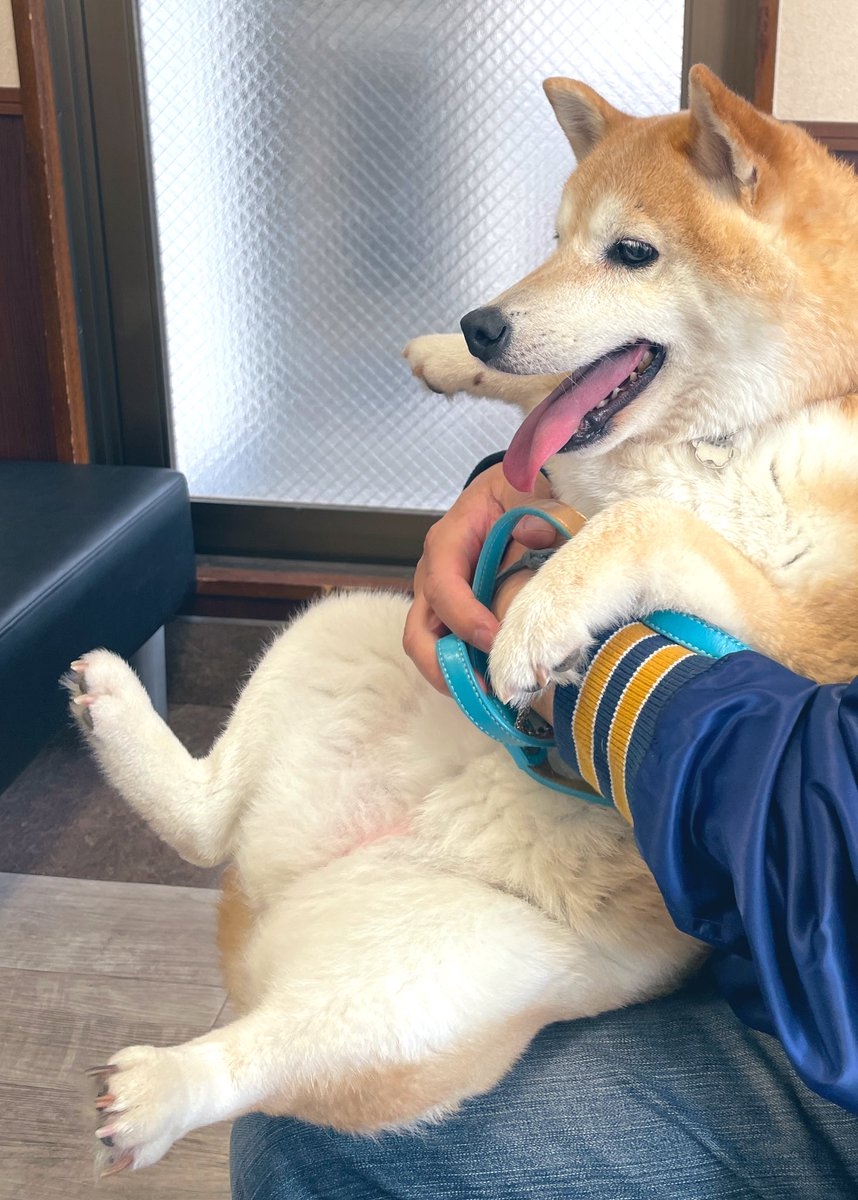 奴才：額...那麼突然喔