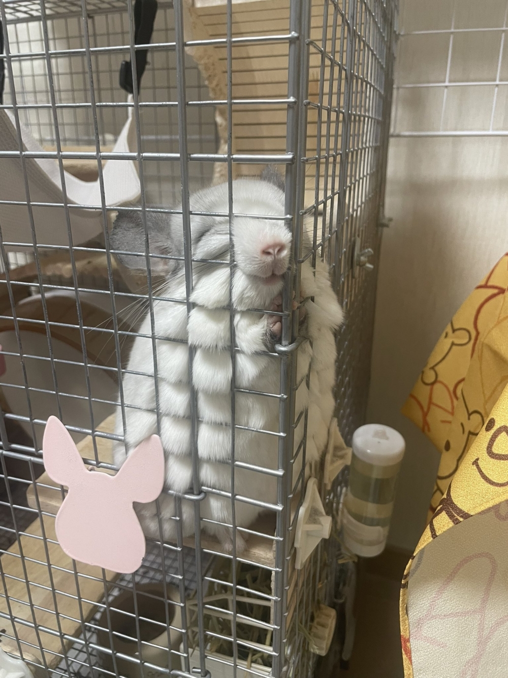 奴才:耳朵真靈光