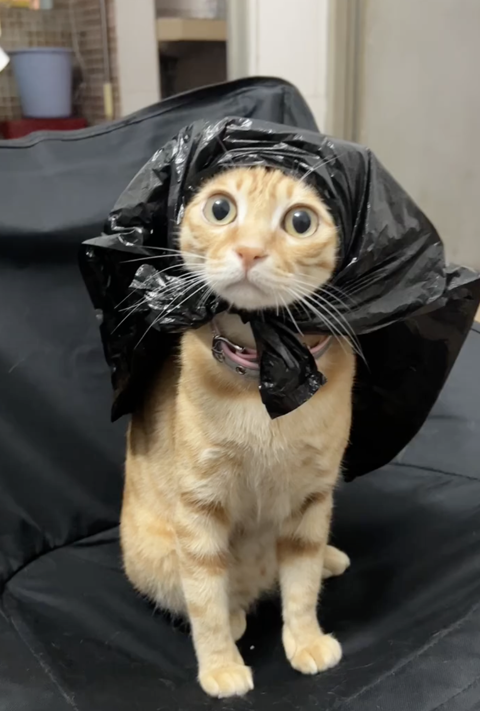 奴才：啊？就是一件帽衫而已