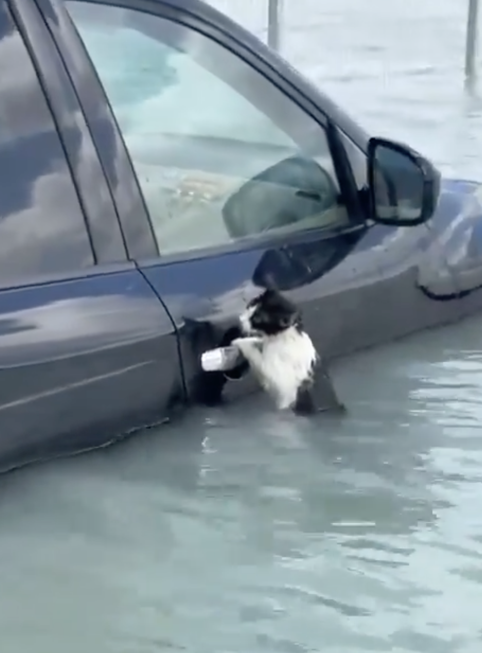 救援隊:別怕,我們來了