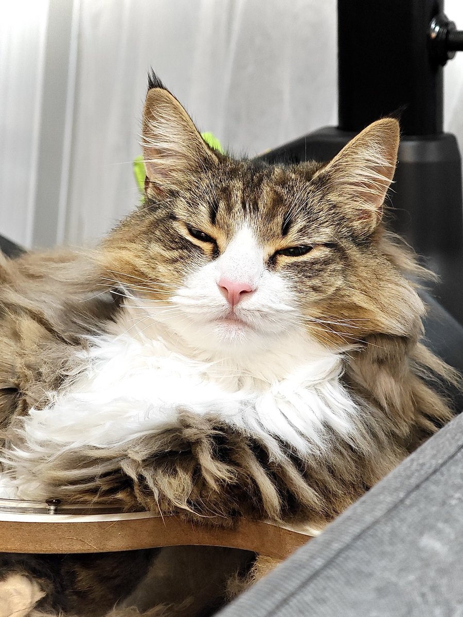 奴才：還滿意嗎？