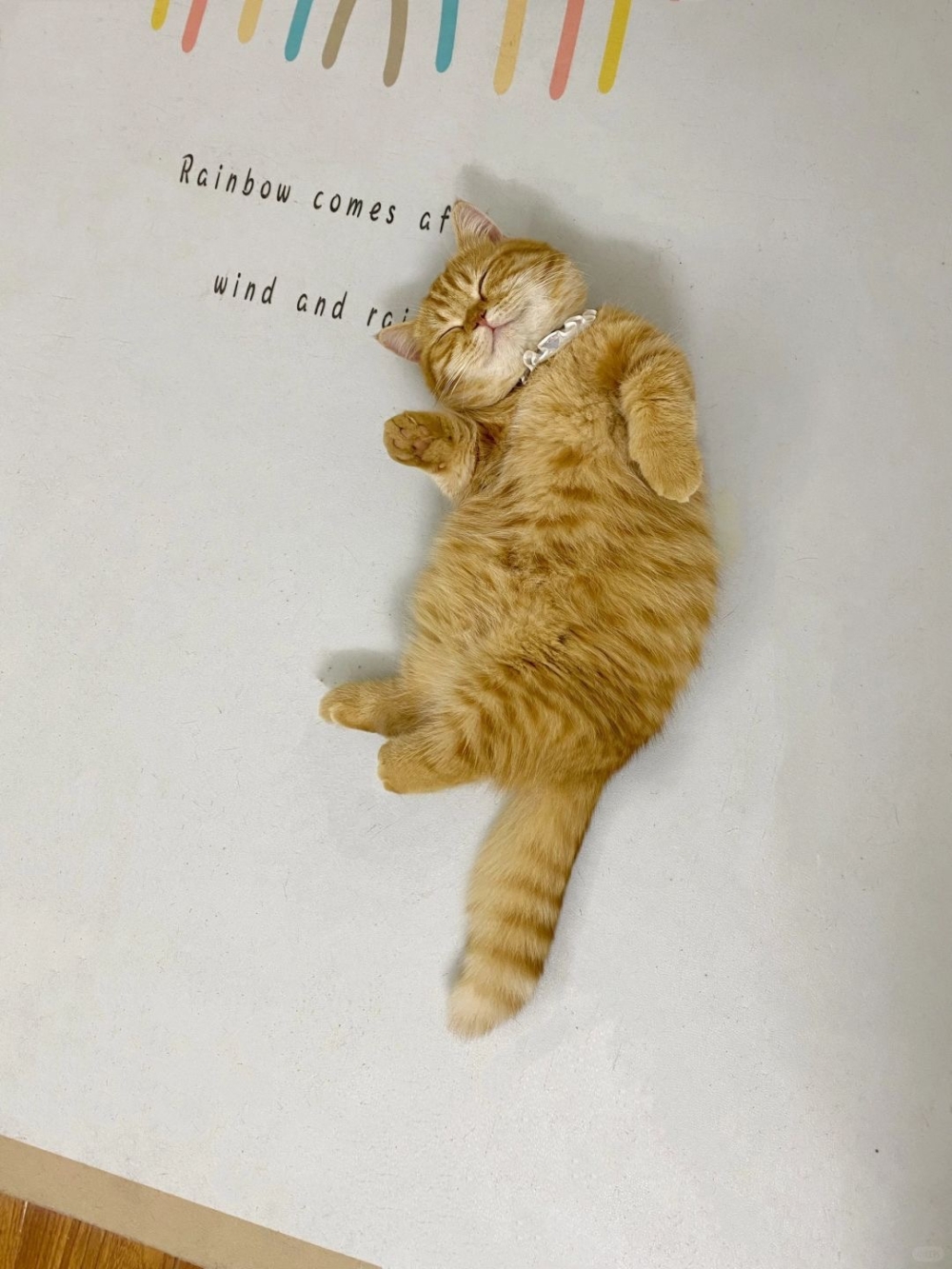 奴才：你真棒喔