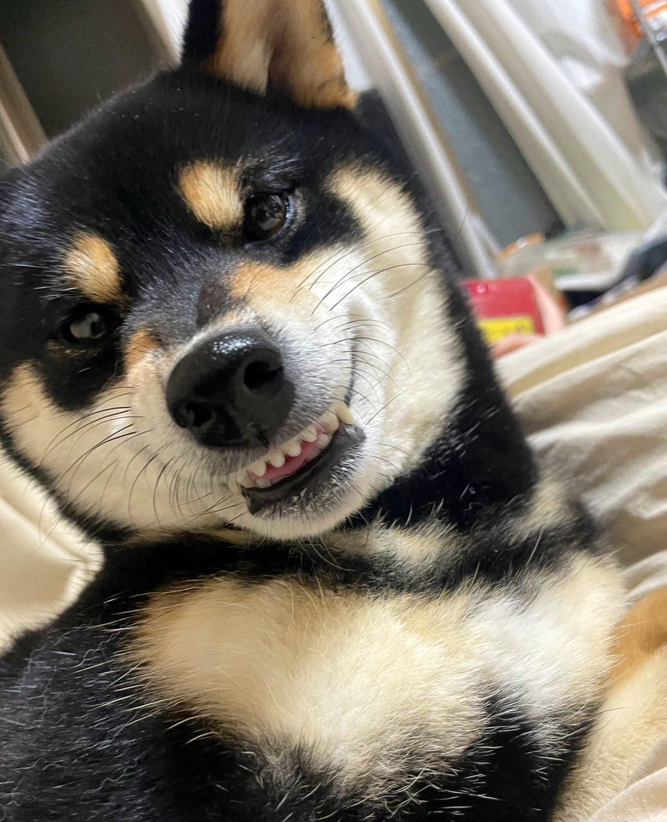 奴才：你開心最重要