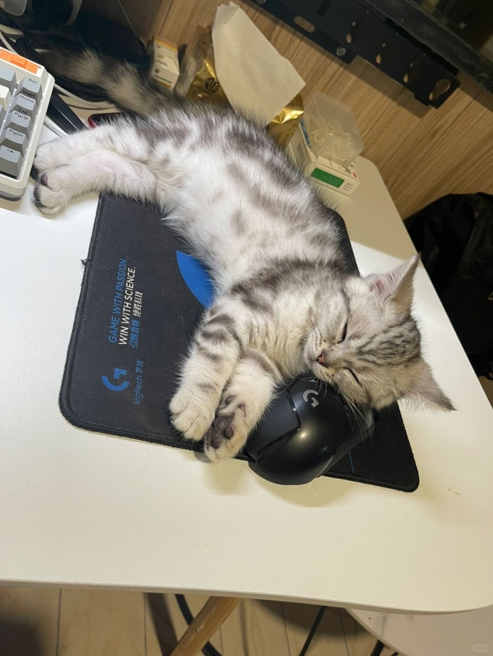 奴才：就知道你在打著小主意