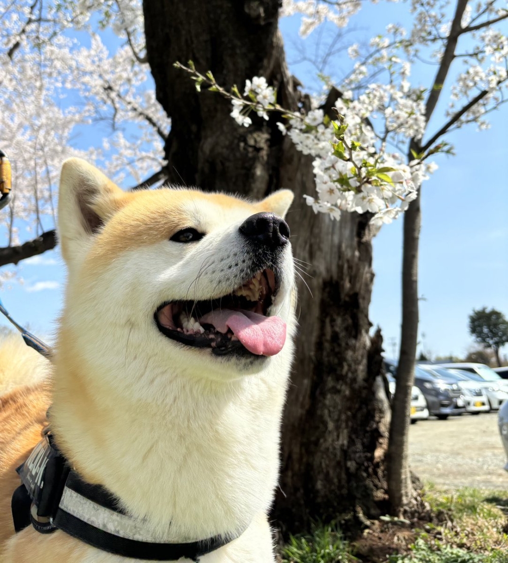 奴才：絕對要留個紀念囉