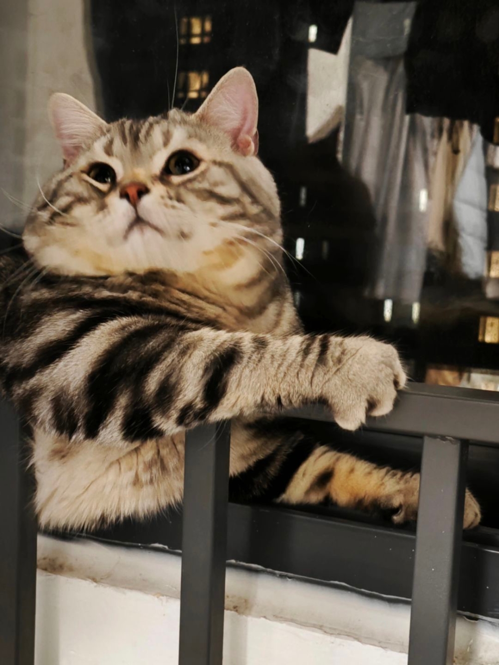 奴才：這確實沒錯啦