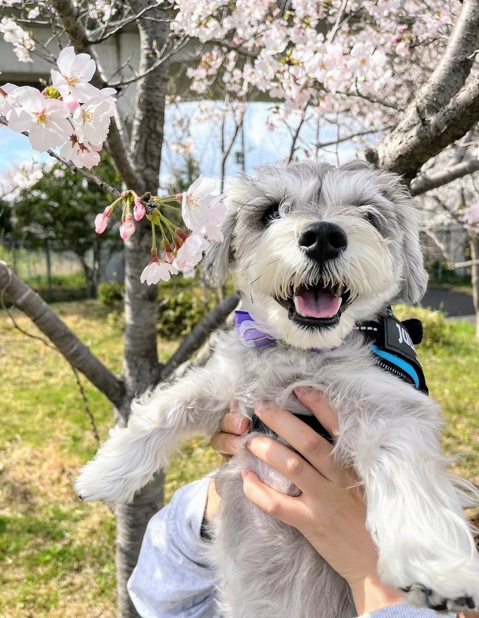 奴才：沒問題，給你安排