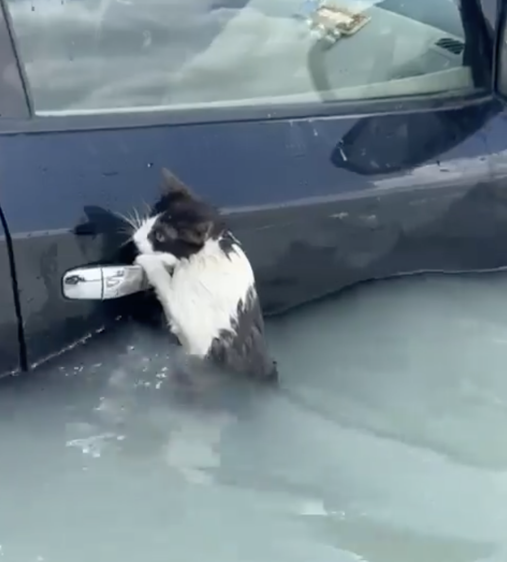 救援隊:現在安全了