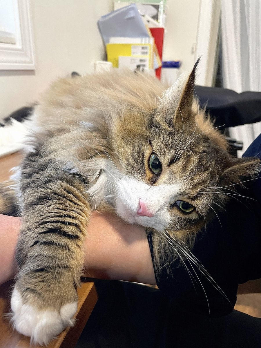 奴才：好有自信啊