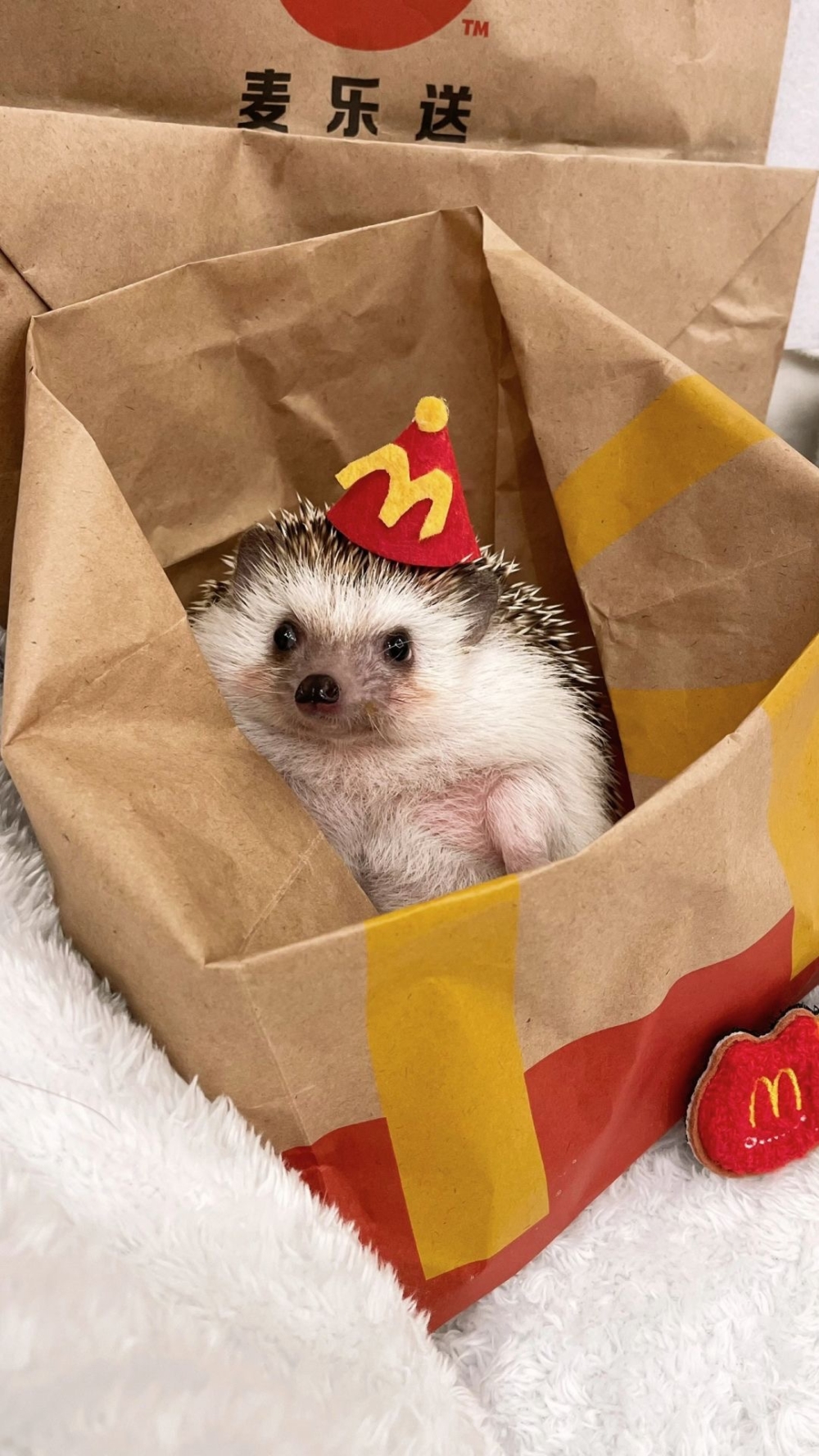 奴才：對啊，我先練練手