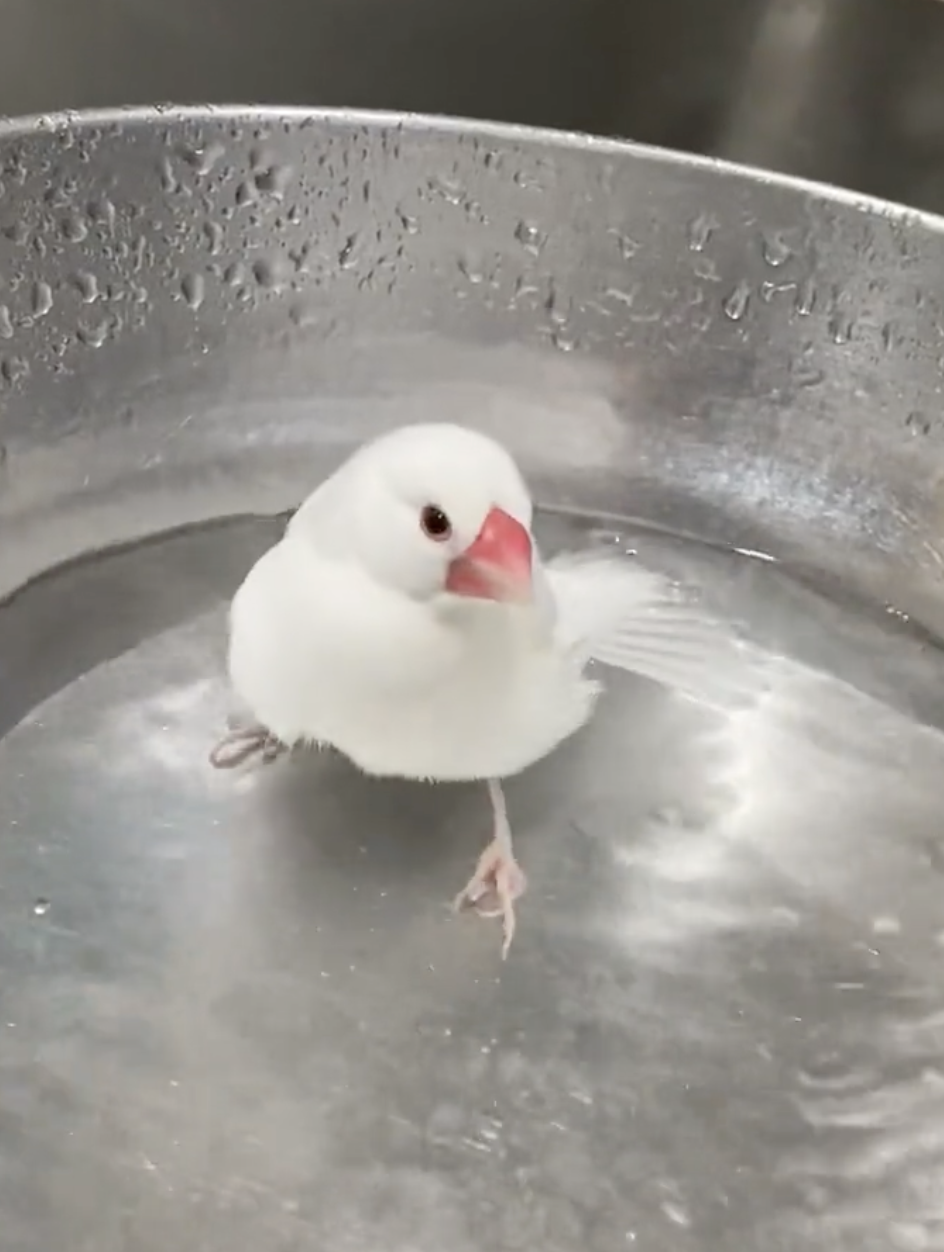 奴才：大家好像都誤會了