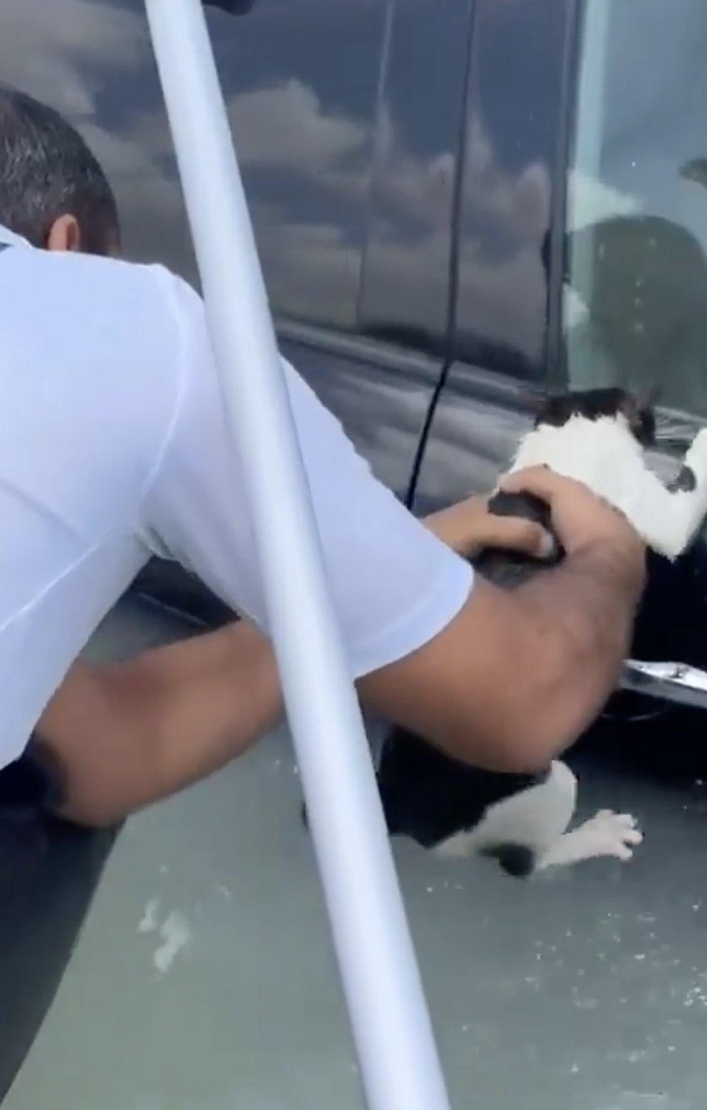 救援隊:不會噠~一切有我們在