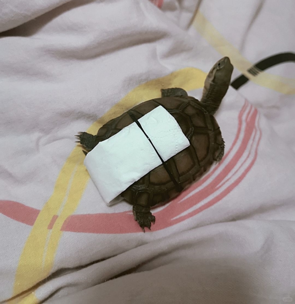 奴才:真的是考慮欠妥了