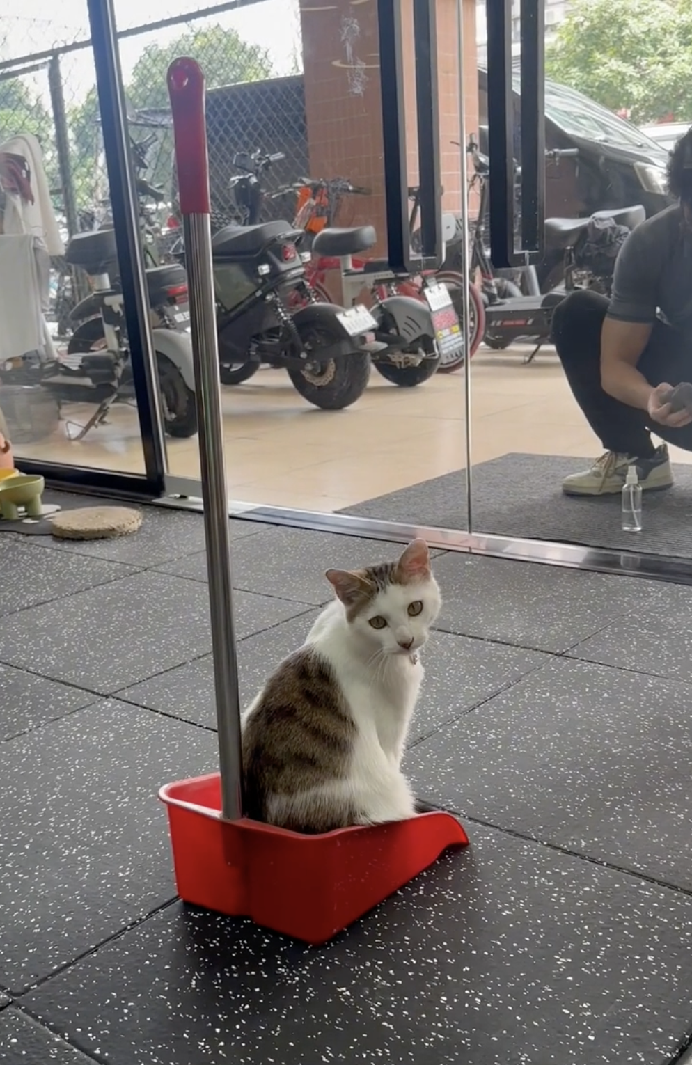 奴才：果然是逆反心理在作祟