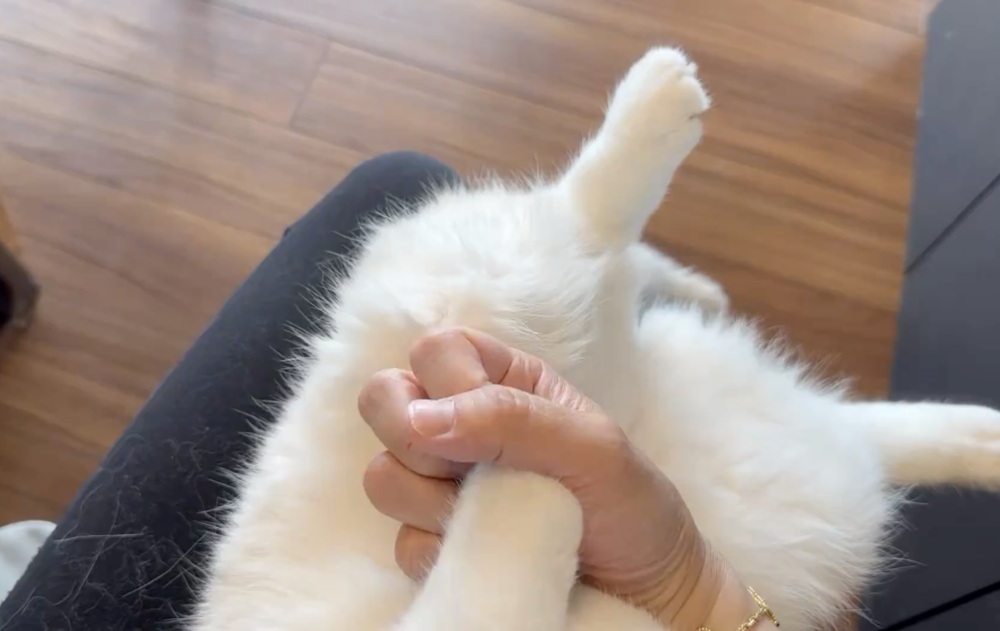 奴才：你跟著我做呀