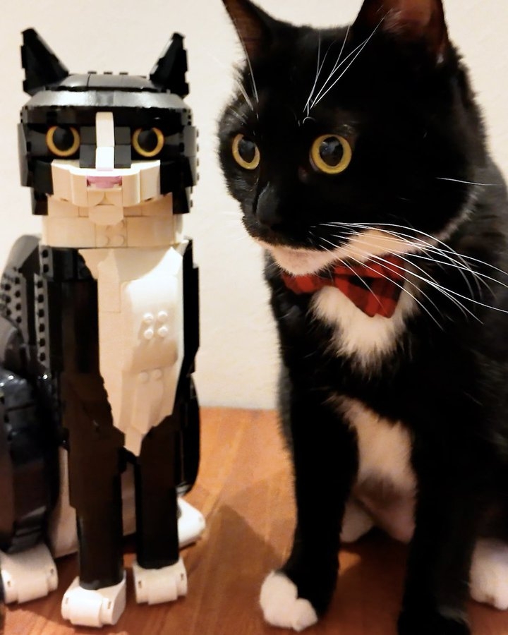 奴才：別急著傷心啊