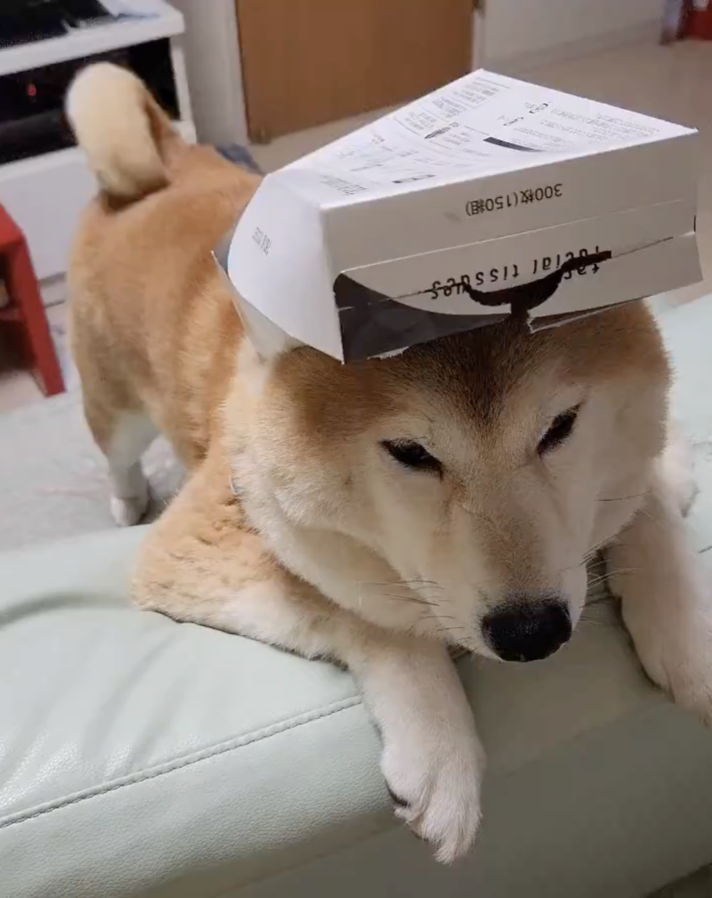 奴才：非常不錯