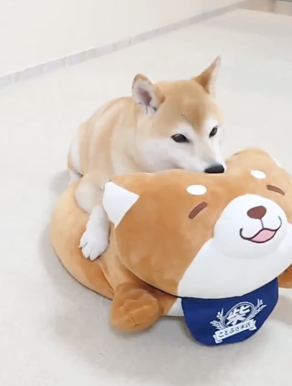 奴才：你最會享受了