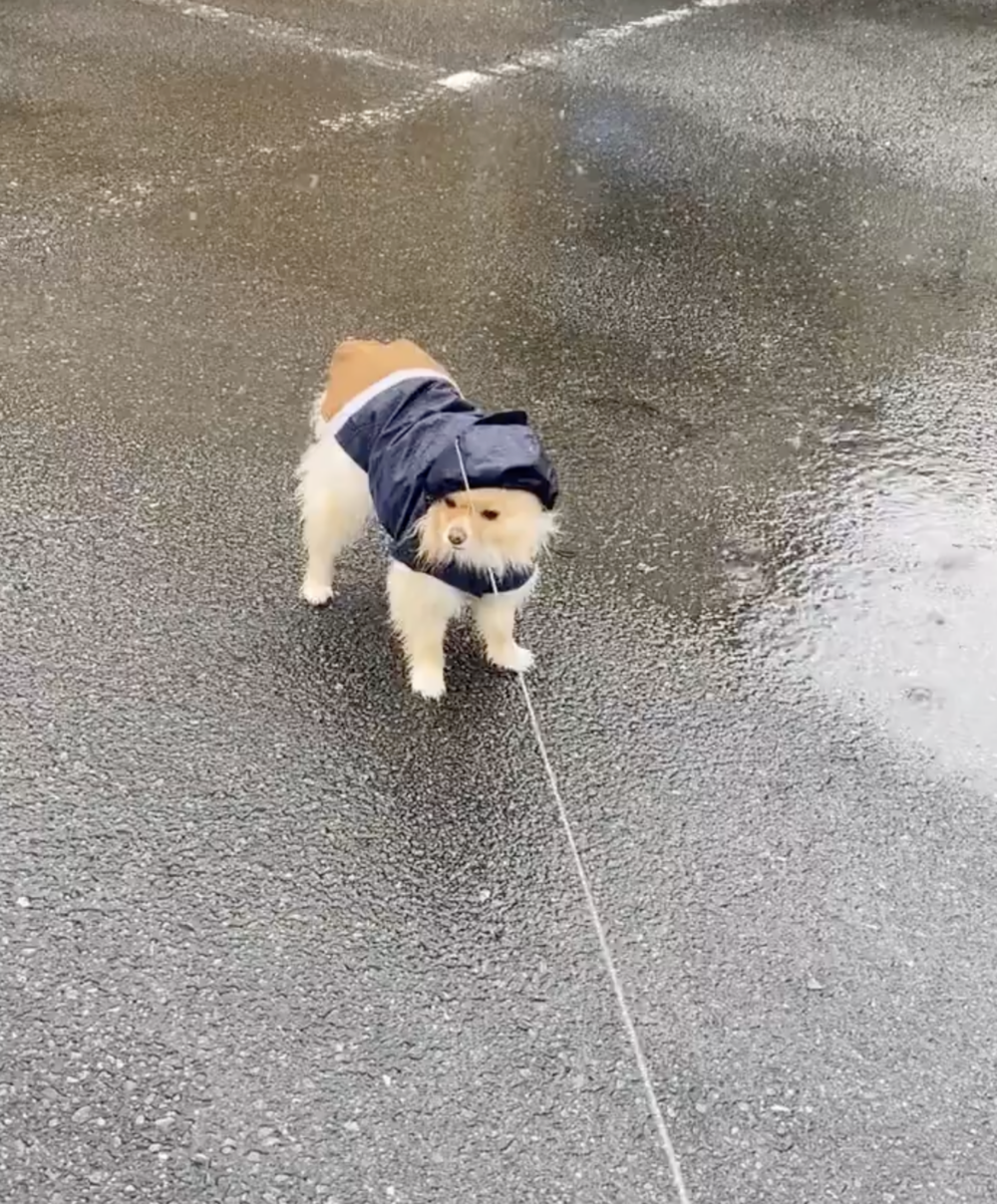 奴才：我已經提醒過你囉