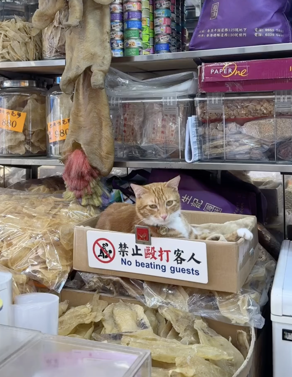 客人：今天心情還好嗎？