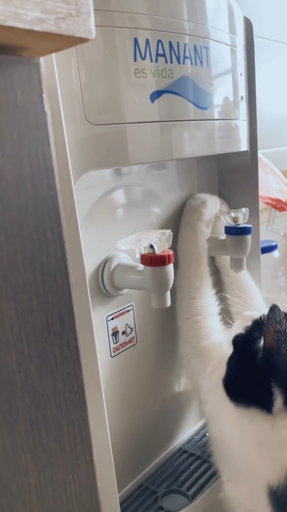 奴才：好聰明還自己學會開水啦