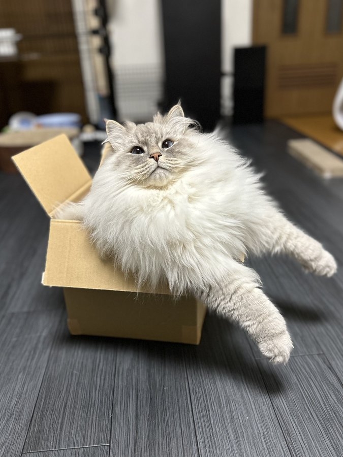 奴才：你的第六感很強嘛