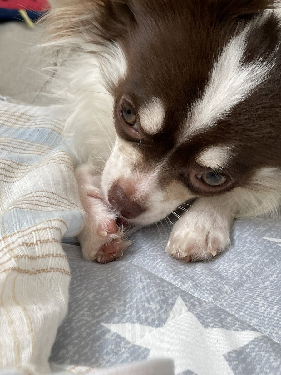 奴才：那也沒辦法，我說你睏你就睏了