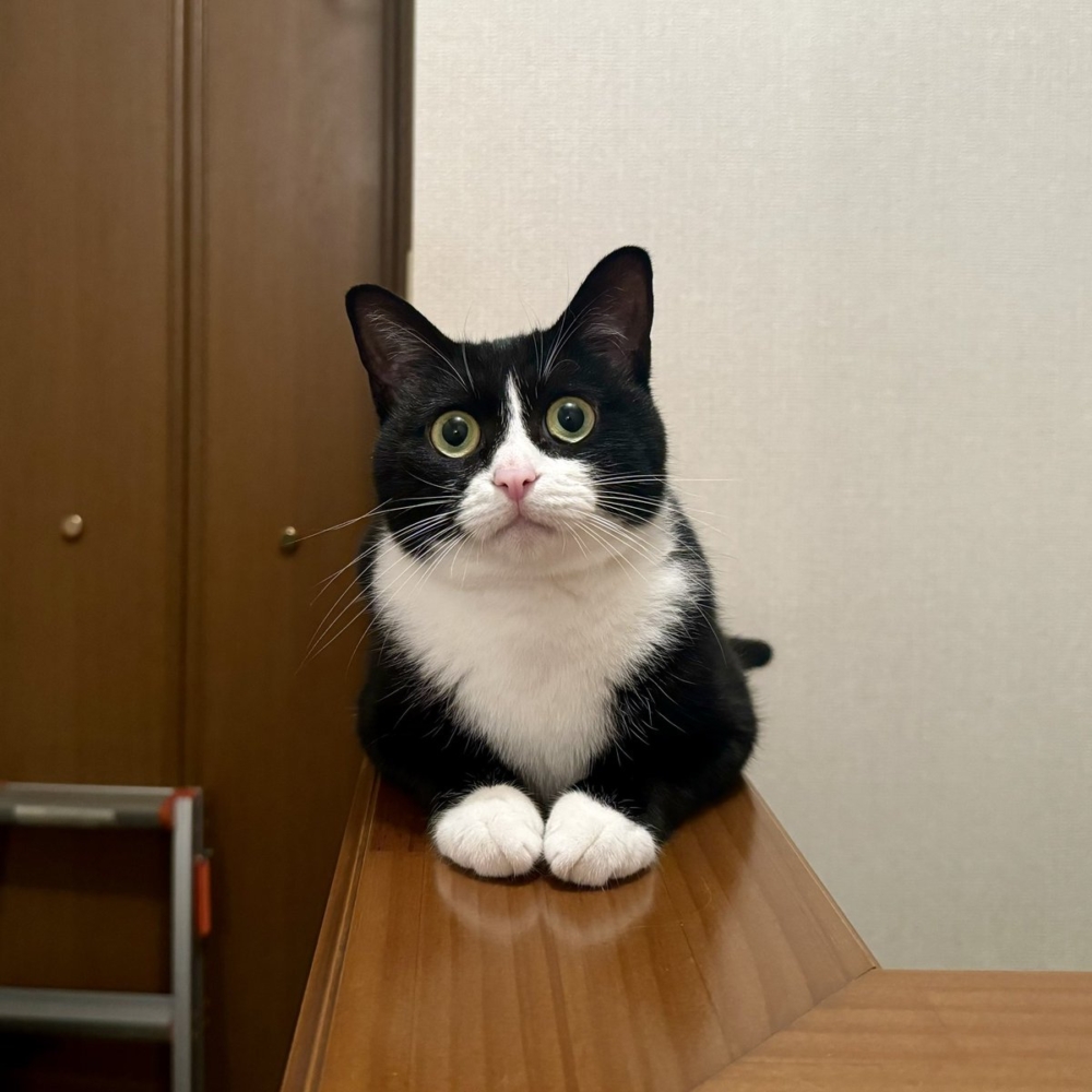 奴才爸爸：我明明對你也很好啊