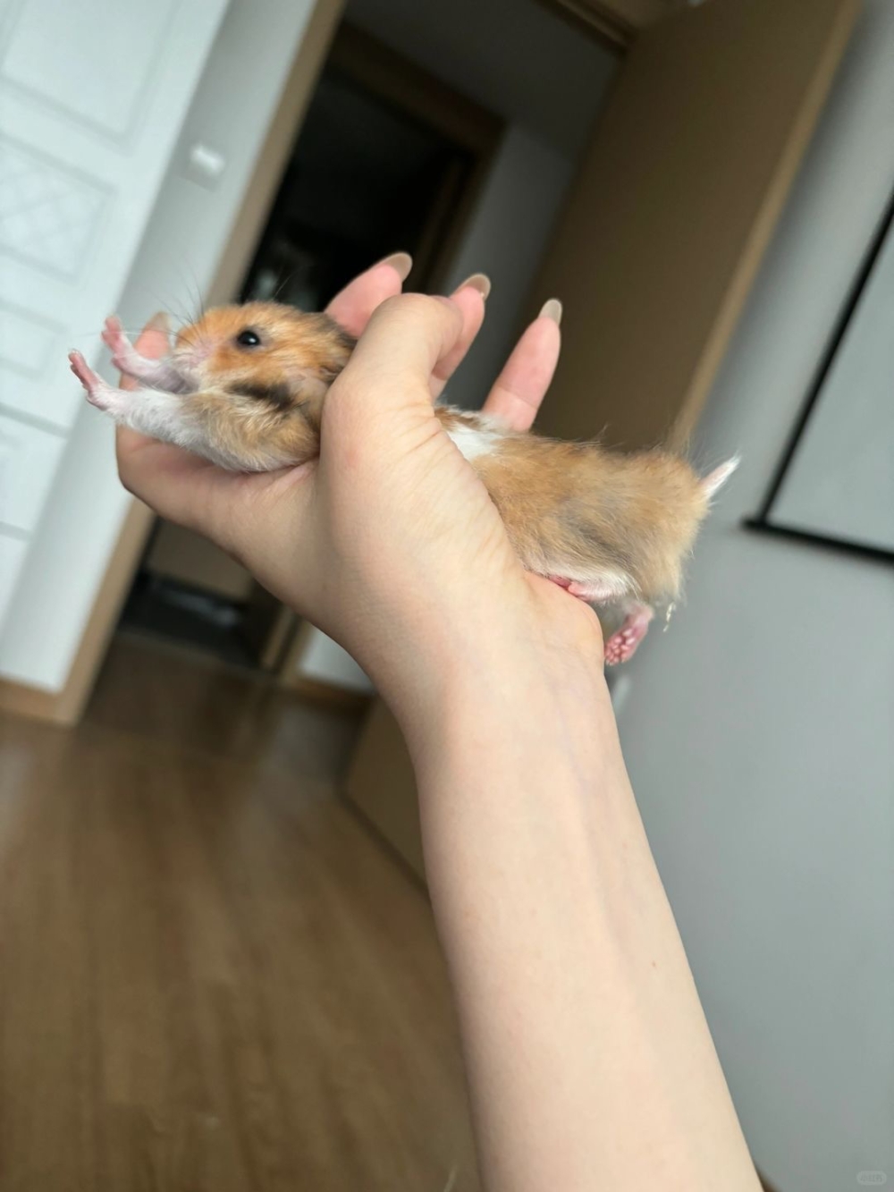 奴才：你快清醒一下