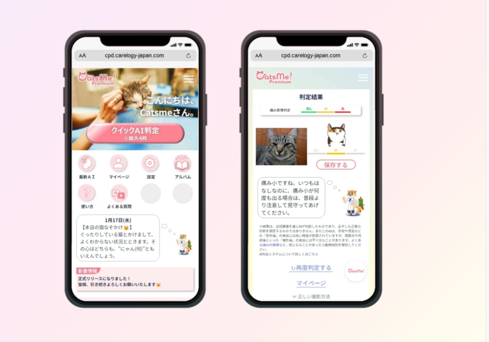「CatsMe!」能夠通過觀察貓的表情來分析其健康狀況。